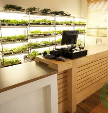 Securing Medical Marijuana Dispensaries