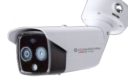 virtual temperature screening camera